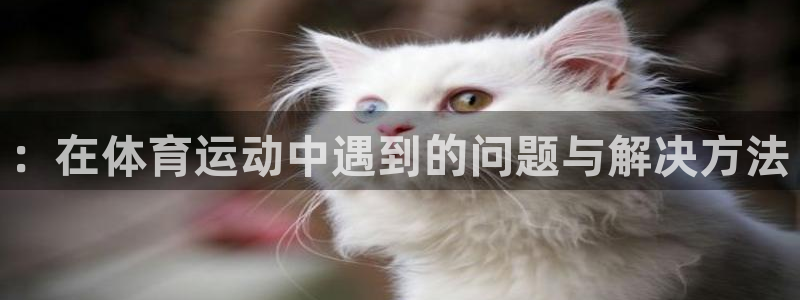 意昂3平台注册