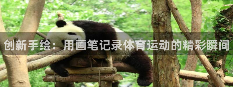 意昂官网注册