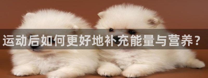 意昂平台登陆