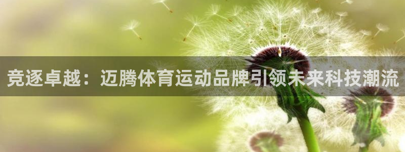 广州市意昂智能科技有限公司