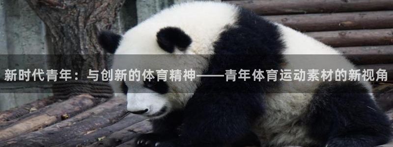 蓝图娱乐体育官网