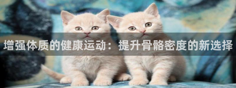 蓝图娱乐2代理注册