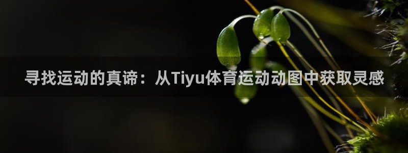 蓝图娱乐