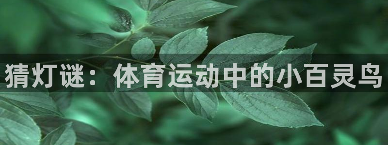 福建蓝图娱乐机电股份公司