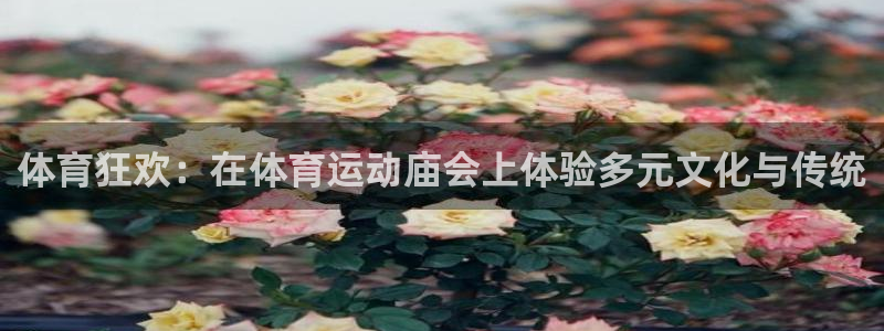 蓝图娱乐3注册
