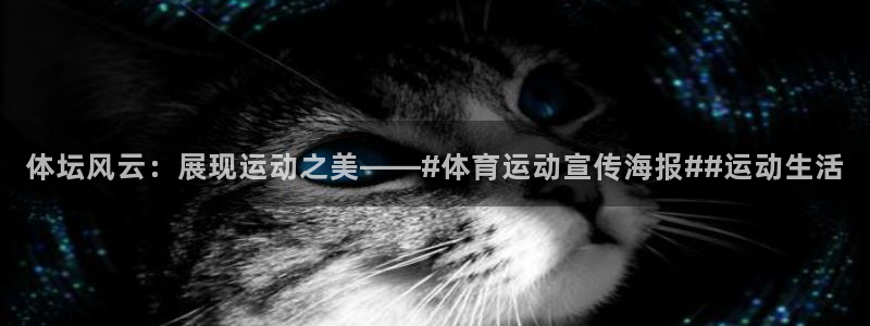 蓝图娱乐电子有限公司