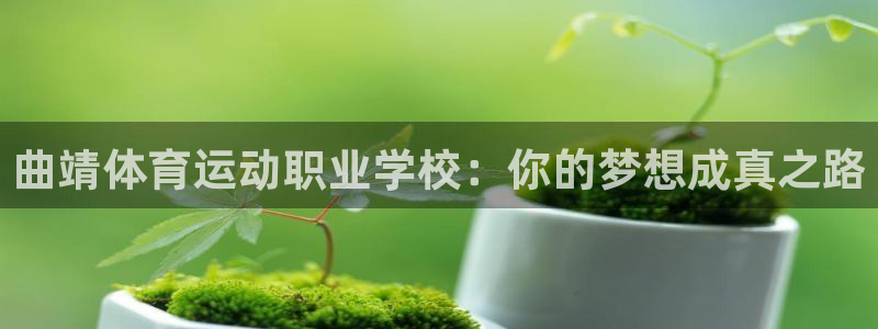 蓝图娱乐2平台登录
