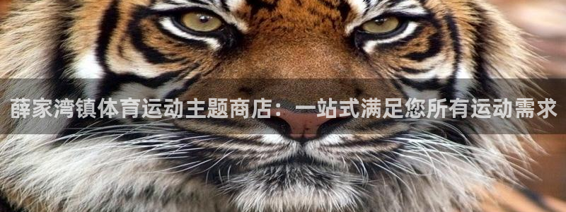 意昂体育官网