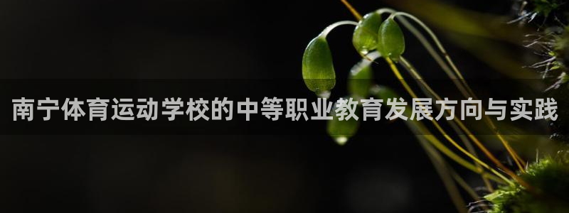 蓝图娱乐3平台登录注册