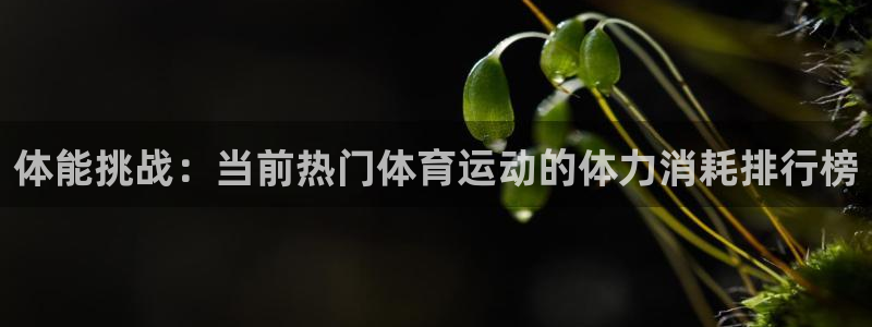 蓝图娱乐2登录地址