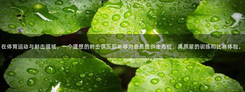 蓝图娱乐零能源集团
