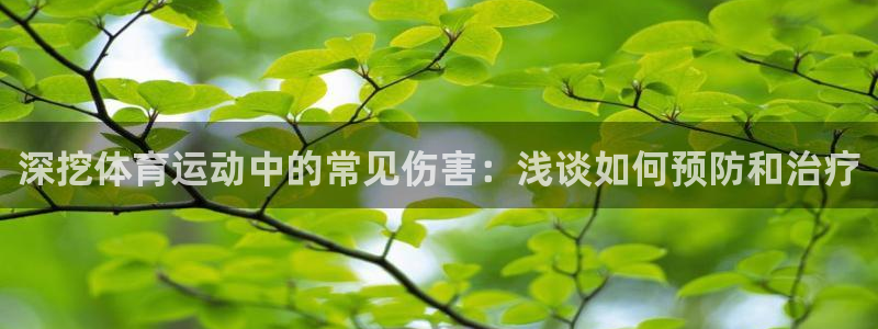 意昂5平台